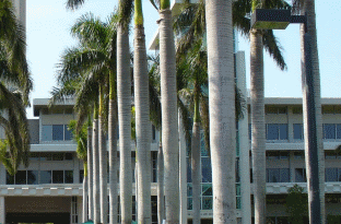 Avian Averting System client installation picture University of Miami Richter Law School